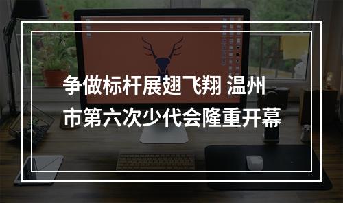 争做标杆展翅飞翔 温州市第六次少代会隆重开幕