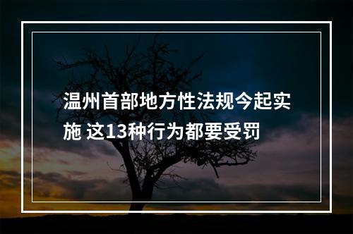 温州首部地方性法规今起实施 这13种行为都要受罚