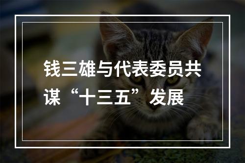 钱三雄与代表委员共谋“十三五”发展