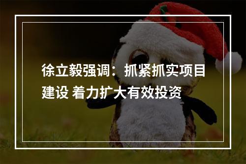 徐立毅强调：抓紧抓实项目建设 着力扩大有效投资