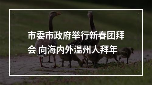 市委市政府举行新春团拜会 向海内外温州人拜年