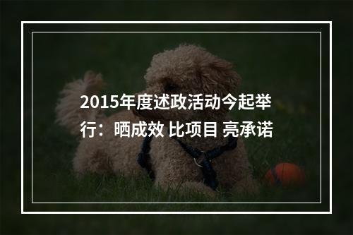 2015年度述政活动今起举行：晒成效 比项目 亮承诺