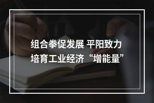 组合拳促发展 平阳致力培育工业经济“增能量”
