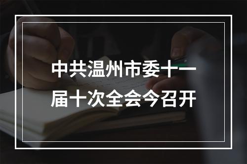 中共温州市委十一届十次全会今召开