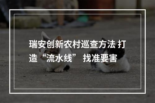 瑞安创新农村巡查方法 打造“流水线” 找准要害