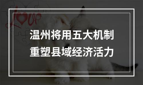 温州将用五大机制重塑县域经济活力
