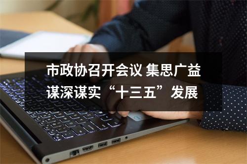 市政协召开会议 集思广益谋深谋实“十三五”发展