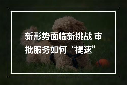 新形势面临新挑战 审批服务如何“提速”