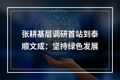 张耕基层调研首站到泰顺文成：坚持绿色发展