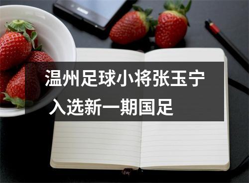 温州足球小将张玉宁 入选新一期国足
