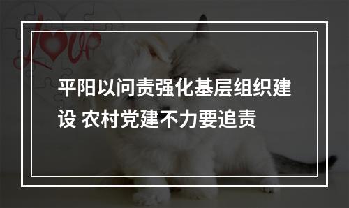 平阳以问责强化基层组织建设 农村党建不力要追责