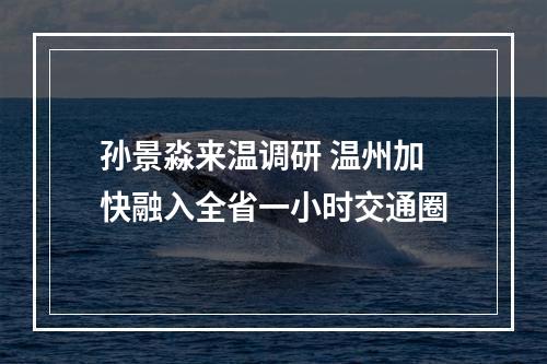 孙景淼来温调研 温州加快融入全省一小时交通圈