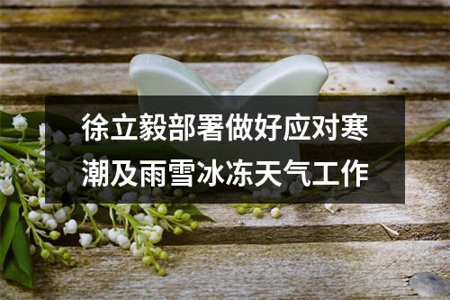 徐立毅部署做好应对寒潮及雨雪冰冻天气工作