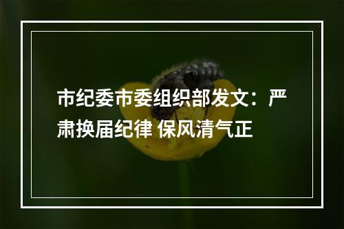 市纪委市委组织部发文：严肃换届纪律 保风清气正