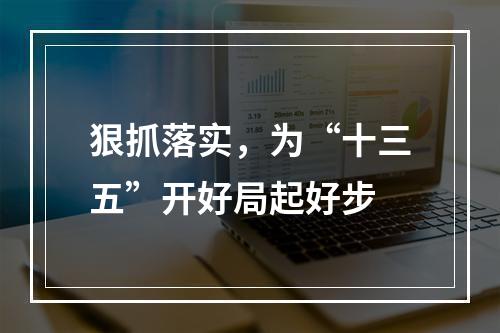 狠抓落实，为“十三五”开好局起好步
