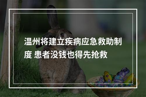温州将建立疾病应急救助制度 患者没钱也得先抢救