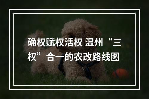 确权赋权活权 温州“三权”合一的农改路线图
