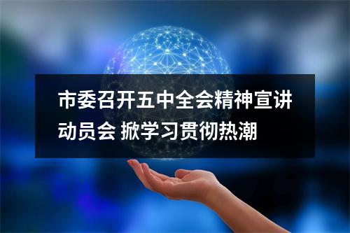 市委召开五中全会精神宣讲动员会 掀学习贯彻热潮