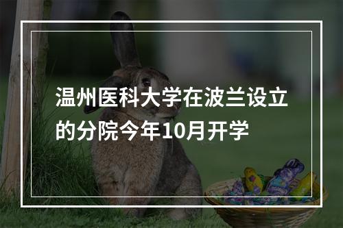 温州医科大学在波兰设立的分院今年10月开学