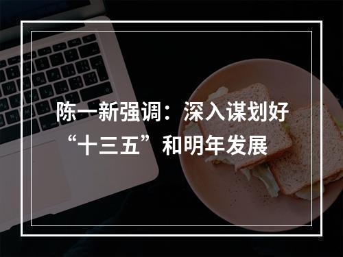 陈一新强调：深入谋划好“十三五”和明年发展