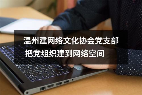 温州建网络文化协会党支部 把党组织建到网络空间