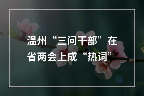 温州“三问干部”在省两会上成“热词”
