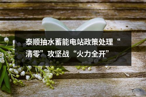 泰顺抽水蓄能电站政策处理“清零”攻坚战“火力全开”