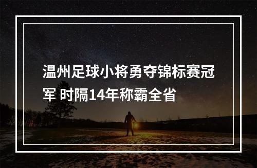 温州足球小将勇夺锦标赛冠军 时隔14年称霸全省