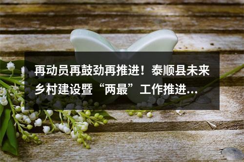 再动员再鼓劲再推进！泰顺县未来乡村建设暨“两最”工作推进会召开