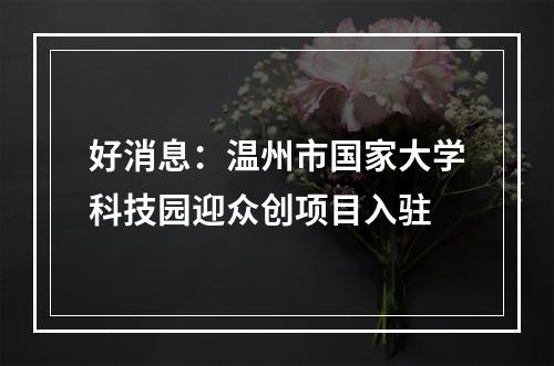 好消息：温州市国家大学科技园迎众创项目入驻