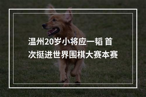 温州20岁小将应一韬 首次挺进世界围棋大赛本赛