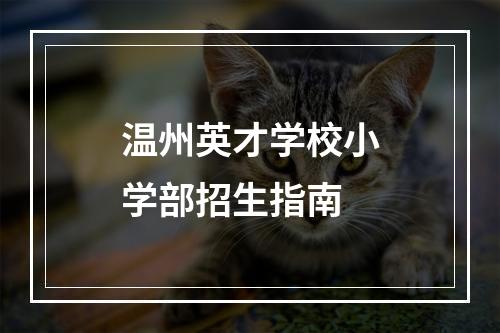 温州英才学校小学部招生指南