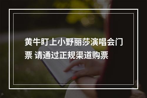 黄牛盯上小野丽莎演唱会门票 请通过正规渠道购票