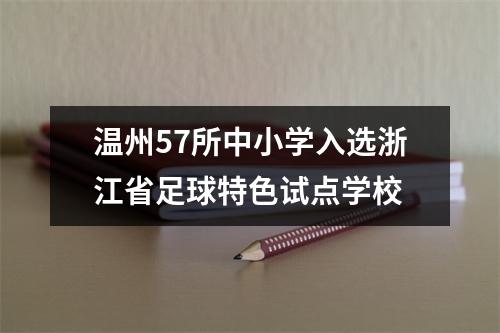 温州57所中小学入选浙江省足球特色试点学校