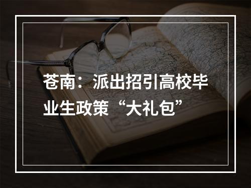 苍南：派出招引高校毕业生政策“大礼包”