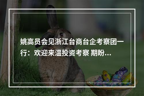 姚高员会见浙江台商台企考察团一行：欢迎来温投资考察 期盼更多成果落地