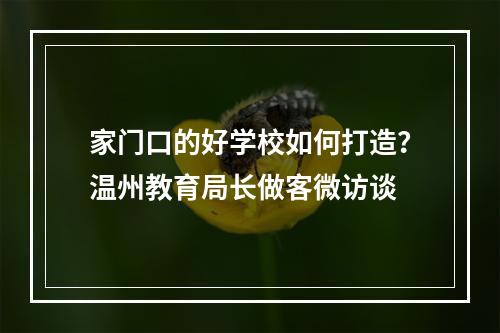 家门口的好学校如何打造？温州教育局长做客微访谈