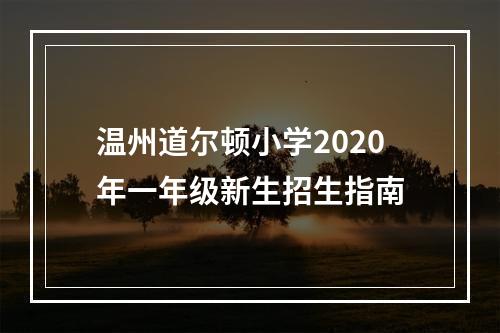 温州道尔顿小学2020年一年级新生招生指南