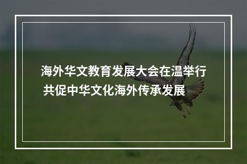 海外华文教育发展大会在温举行 共促中华文化海外传承发展