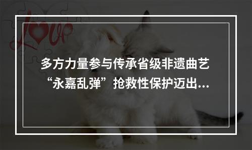 多方力量参与传承省级非遗曲艺 “永嘉乱弹”抢救性保护迈出关键一步
