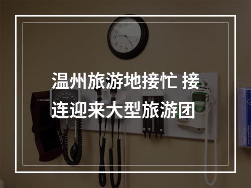 温州旅游地接忙 接连迎来大型旅游团