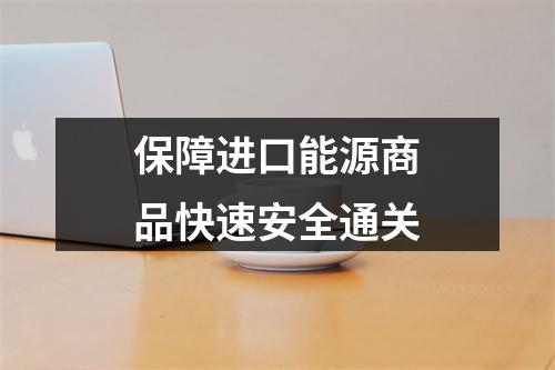 保障进口能源商品快速安全通关