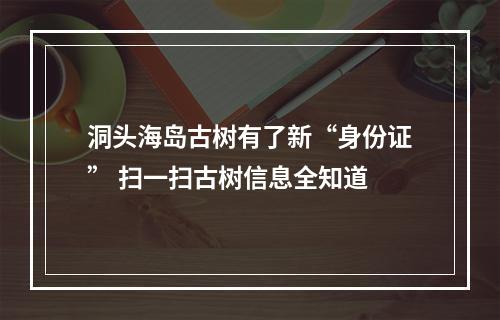 洞头海岛古树有了新“身份证” 扫一扫古树信息全知道