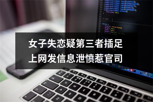 女子失恋疑第三者插足 上网发信息泄愤惹官司