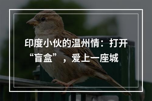 印度小伙的温州情：打开“盲盒”，爱上一座城