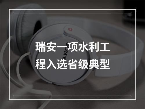 瑞安一项水利工程入选省级典型