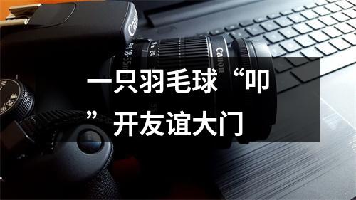 一只羽毛球“叩”开友谊大门