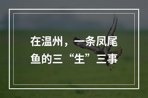 在温州，一条凤尾鱼的三“生”三事