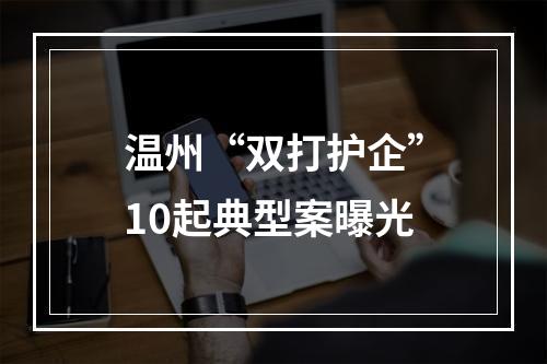 温州“双打护企”10起典型案曝光
