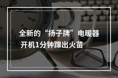 全新的“扬子牌”电暖器 开机1分钟蹿出火苗